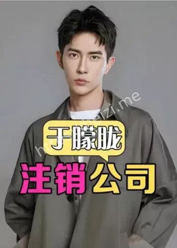 于朦胧工作室注销时间线