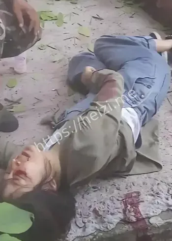 泰国坠崖案最新进展