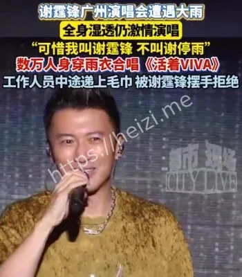 可惜我叫谢霆锋不叫谢停雨