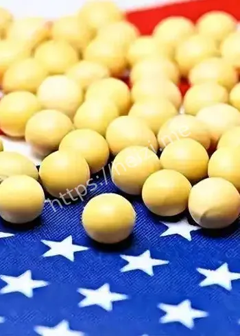 中方回应是否增购美豆