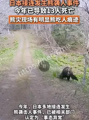 日本熊害趋势研判